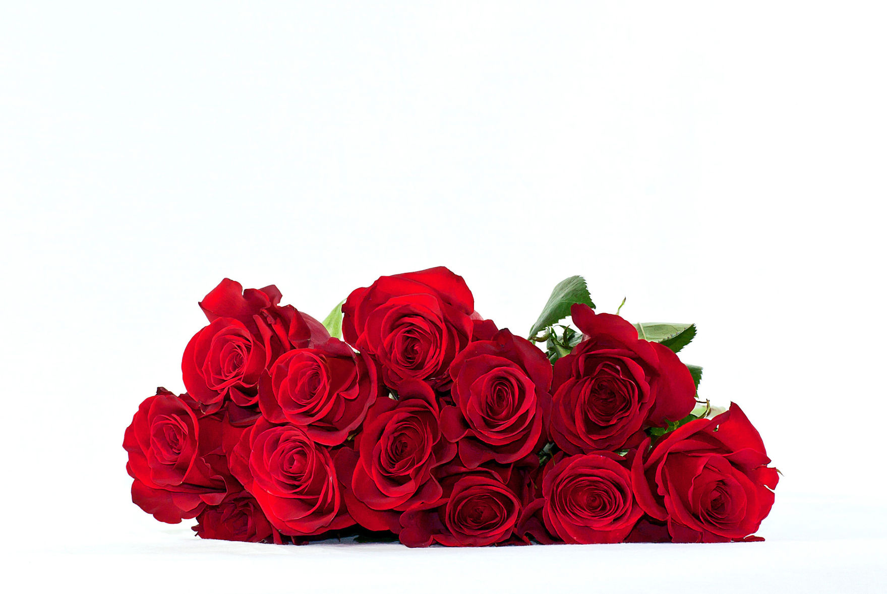 Roses - StoryBlocks